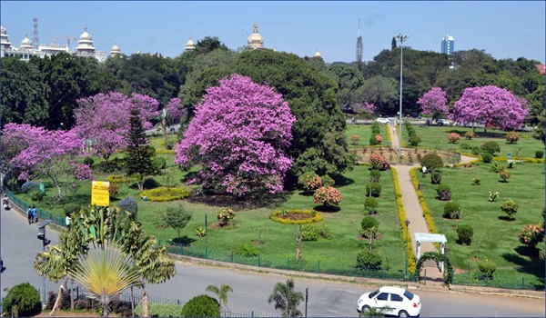 Featured Image of Cubbon Park
